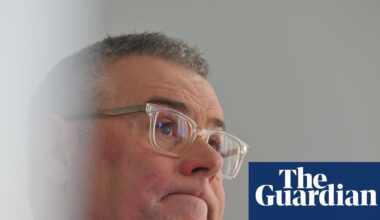 Labor’s attempts to woo Greens and Coalition on nature laws revealed amid criticism of ‘coin toss’ | Australian politics