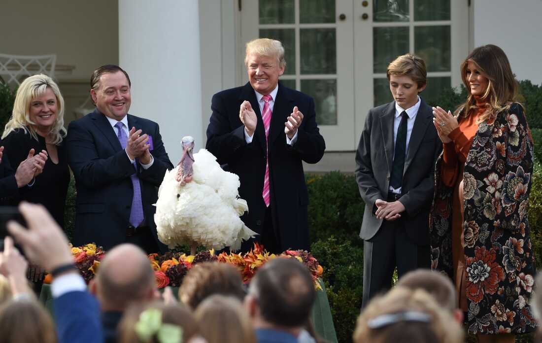 President Trump pardons Drumstick first lady Melania Trump and their son, Barron, look on at the White House on Nov. 21, 2017.
