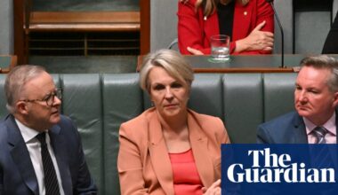 Labor’s nature laws risk collapse with deal yet to be struck on eve of parliament’s final sitting day | Australian politics