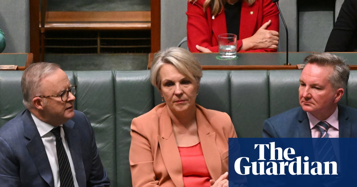 Labor’s nature laws risk collapse with deal yet to be struck on eve of parliament’s final sitting day | Australian politics