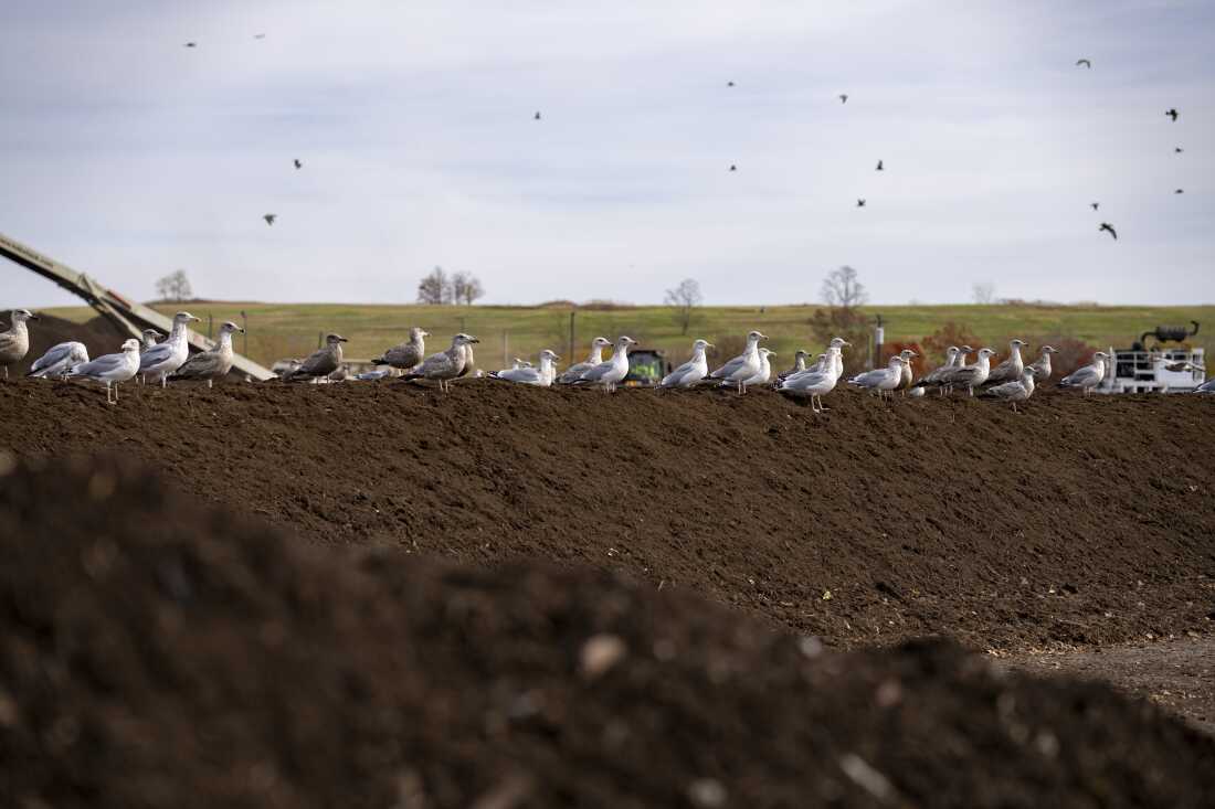 A compost facility in Staten Island, N.Y., aims to repurpose the city's food scraps and yard waste into fertilizer.