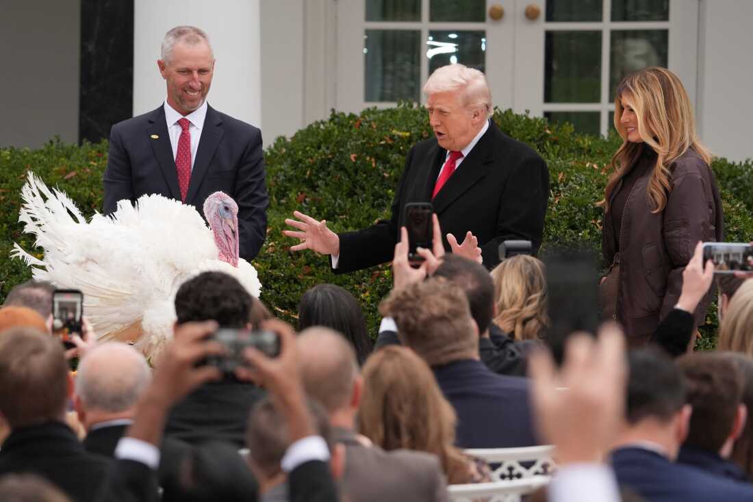 President Donald Trump and first lady Melania Trump, stand next to national Thanksgiving turkey Gobble during a pardoning ceremony in the Rose Garden of the White House, on Tuesday, in Washington.