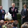 President Trump pardons Drumstick first lady Melania Trump and their son, Barron, look on at the White House on Nov. 21, 2017.