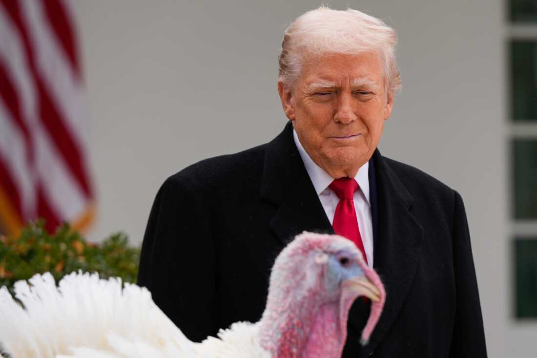 President Donald Trump pardons national Thanksgiving turkey Gobble during a ceremony in the Rose Garden of the White House, on Tuesday, in Washington.