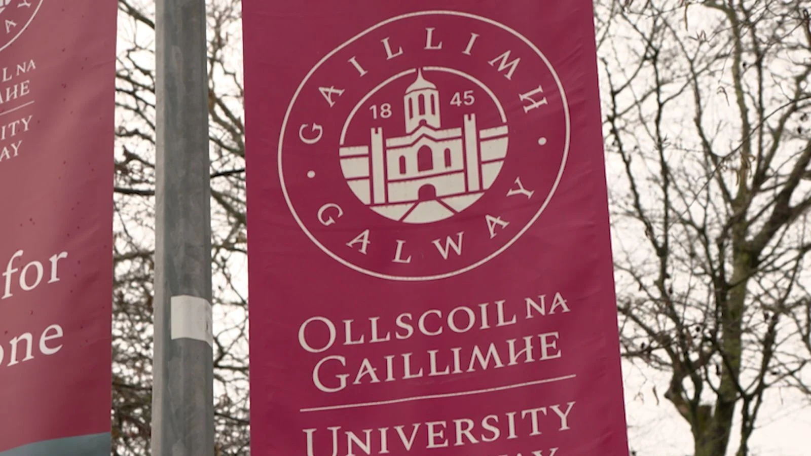 Third person refuses doctorate from University of Galway