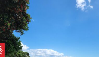 Auckland swelters during hottest November day on record