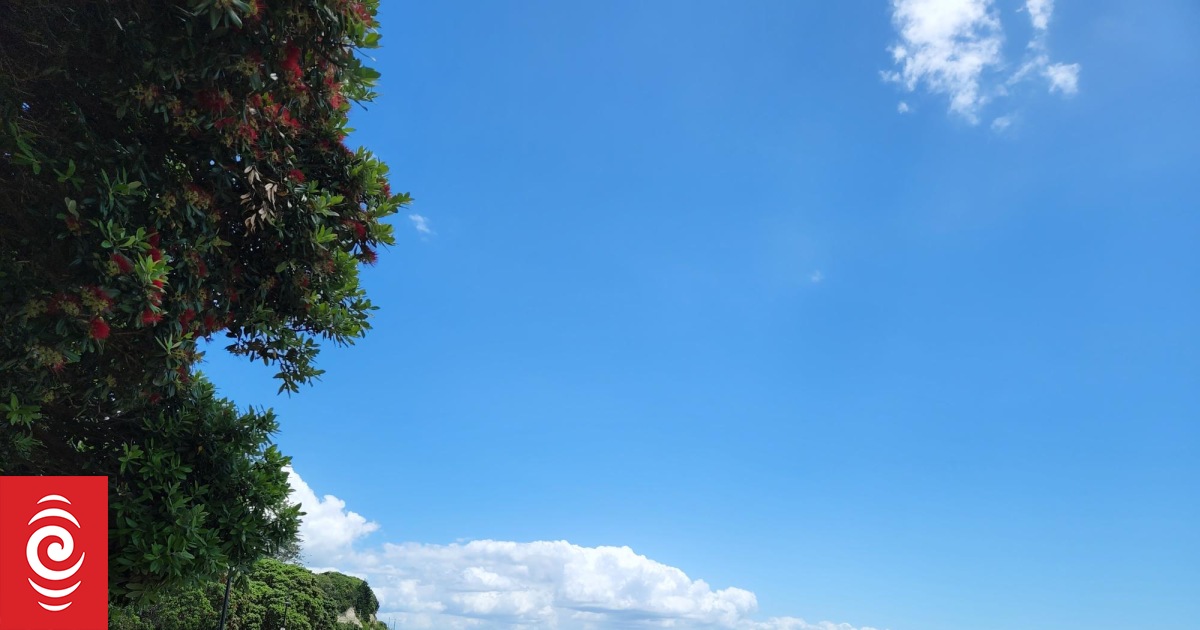 Auckland swelters during hottest November day on record