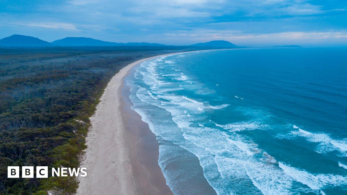 An aerial view of a sandy beach with the ocean on the right hand side, forest on the left and and mountains in the distance.