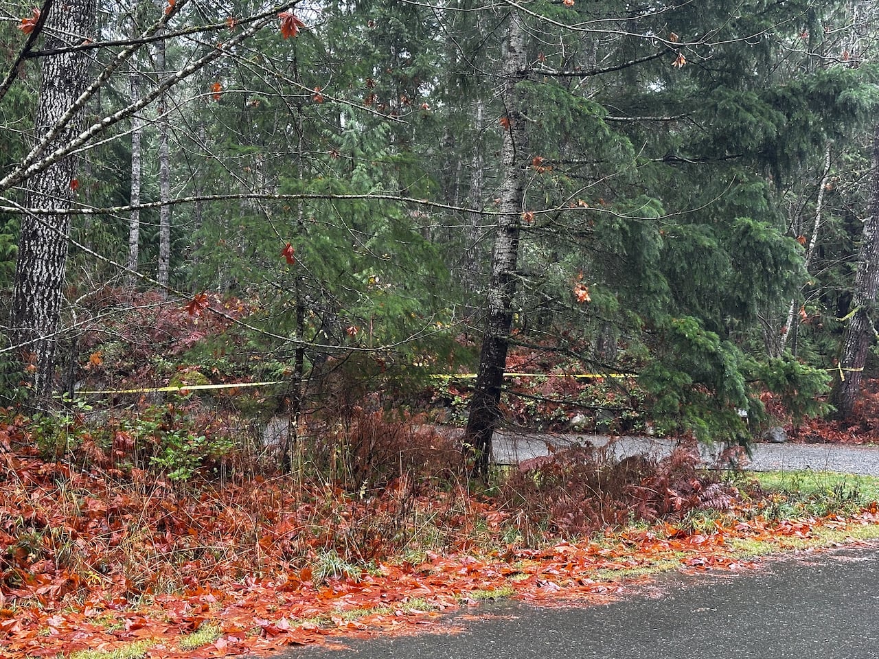 A gravel driveway is taped off in a wooded area off a paved road