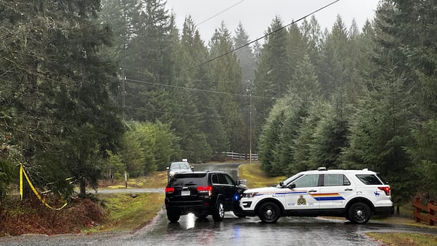 Pilot dies in small plane crash near Nanaimo, B.C., on Vancouver Island