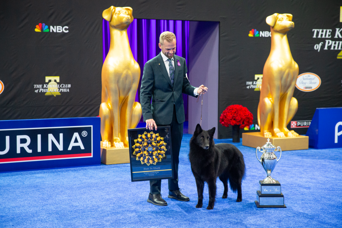The Belgian Sheepdog, Soleil, and handler Daniel Martin of Princeton, N.C., won Best in Show at the 24th Annual National Dog Show presented by Purina.