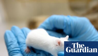 Why we have to continue with animal testing for medical research | Animal experimentation