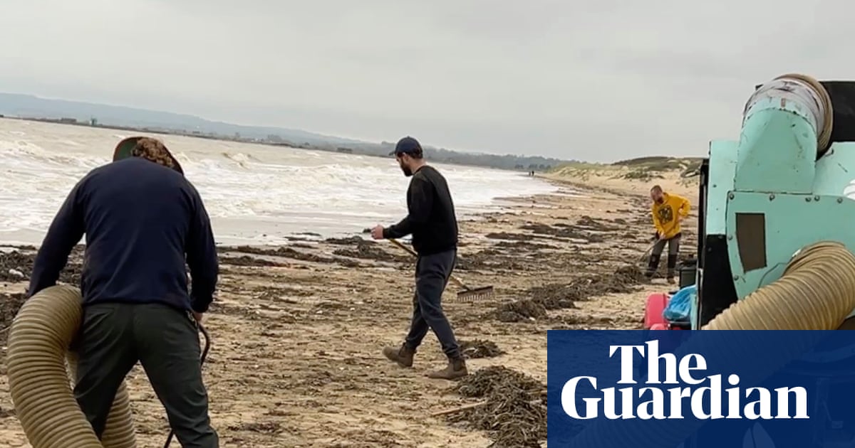 ‘Environmental catastrophe’ fears as millions of plastic beads wash up on Camber Sands | East Sussex