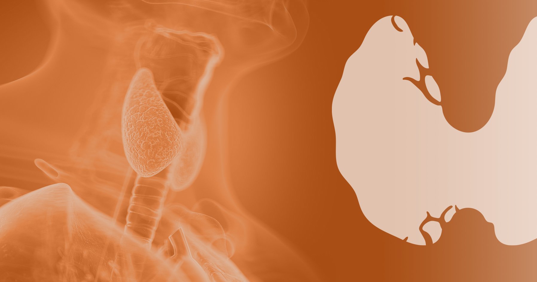 Thyroid dysfunction during pregnancy may increase autism risk in children