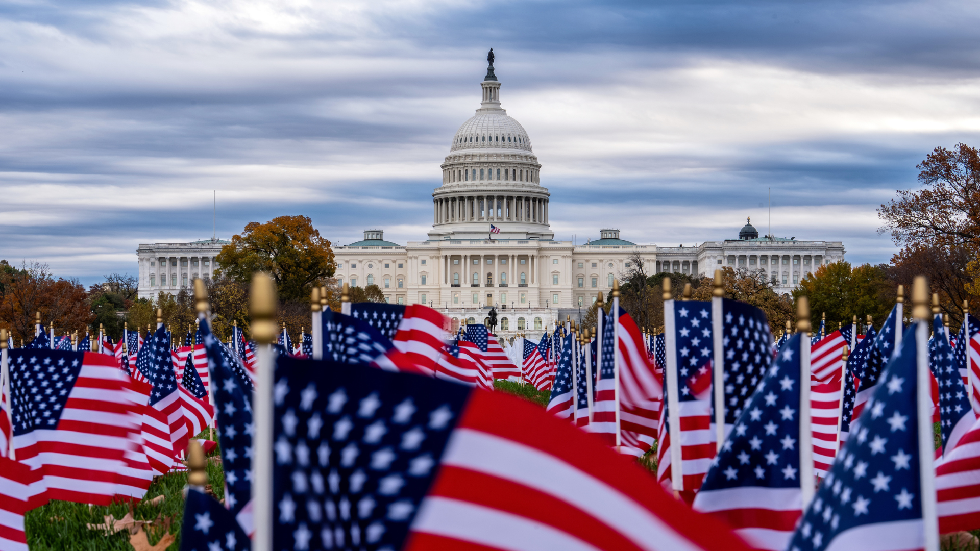 Miniature American flags flutter in wind gusts across the National Mall near the Capitol in Washington, Monday, Nov. 10, 2025.