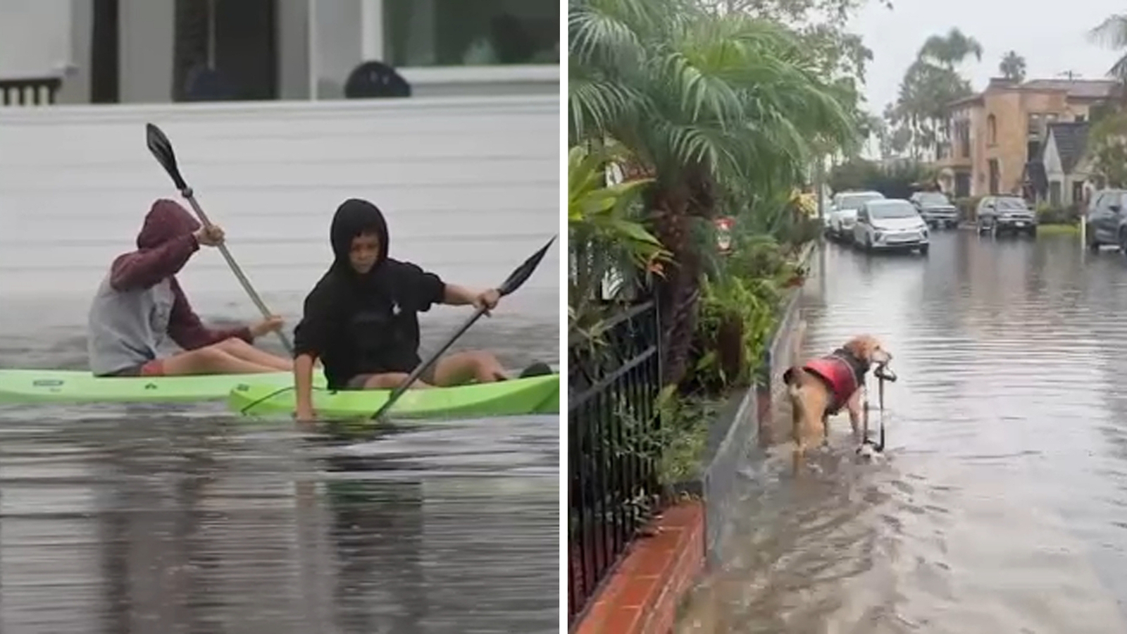 Neighbors kayak in the streets as Long Beach is hit with street flooding
