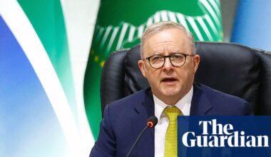 ‘Now is the hour’: Labor urged to speed up fossil fuel phase-out to justify Cop30 pledge | Australian politics