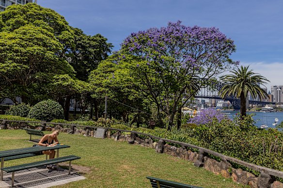 The government wants to build more housing near train stations; critics say the blocks will overshadow parks and gardens. 