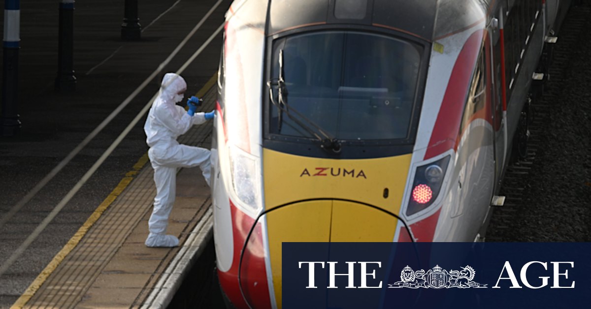 Train attacker yelled at police after mass stabbing