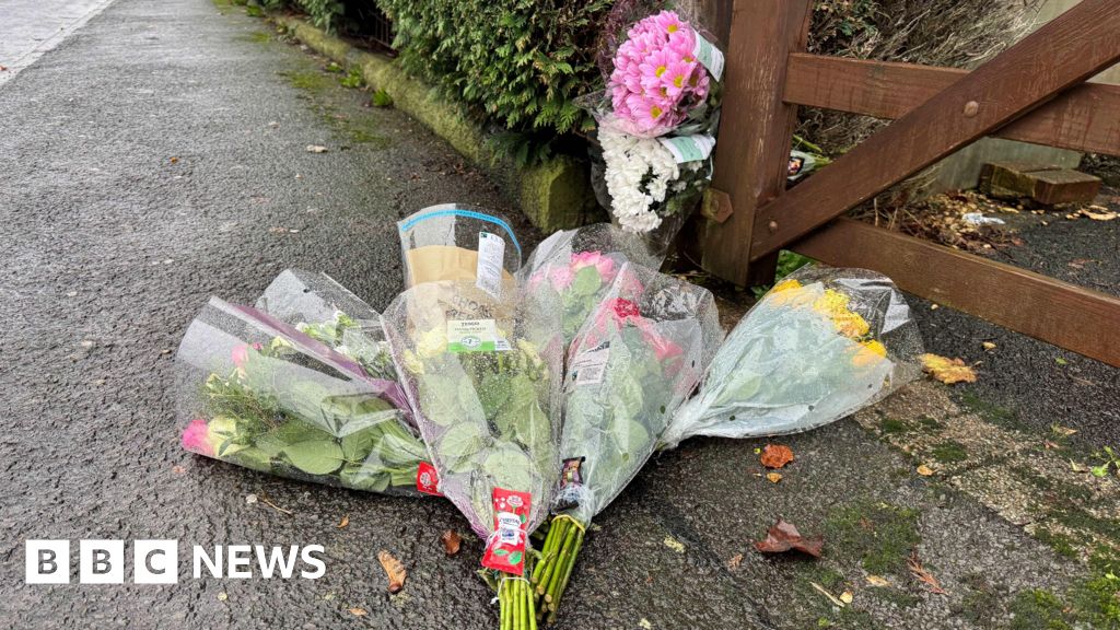 Lainie Williams, 17, named as girl who died after murder arrest