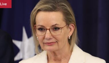 Sussan Ley, Dan Tehan speak after Liberal Party agreement to dump 2050 target; party to remain in Paris Agreement; Labor energy policy criticised