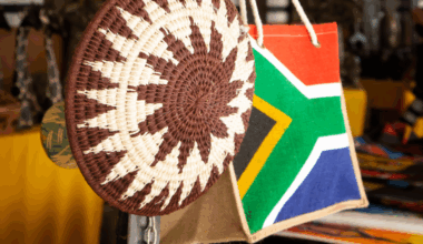 SA Well Prepared to Host G20 Leaders’ Summit in November – G20 South Africa