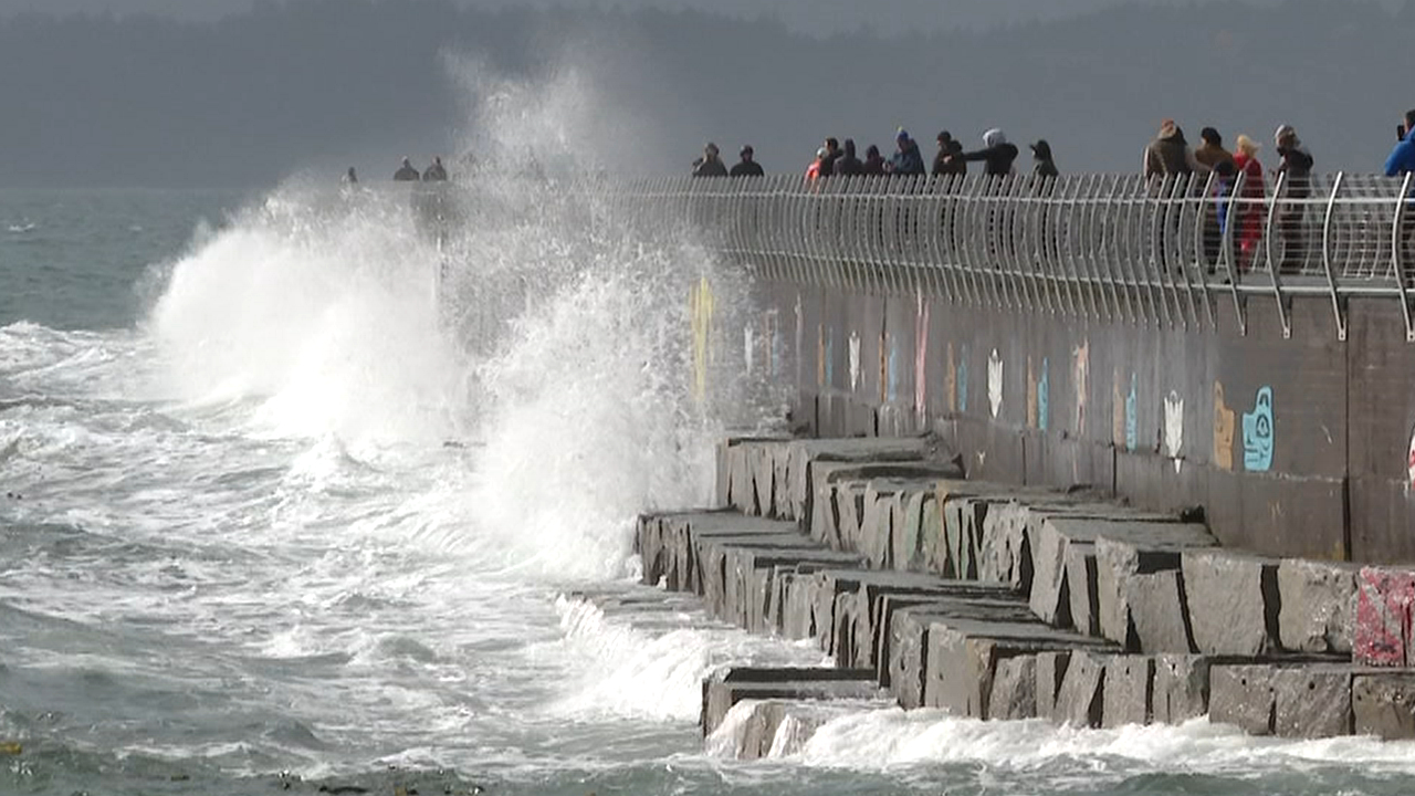 Coastal flooding statement issued for parts of Vancouver Island