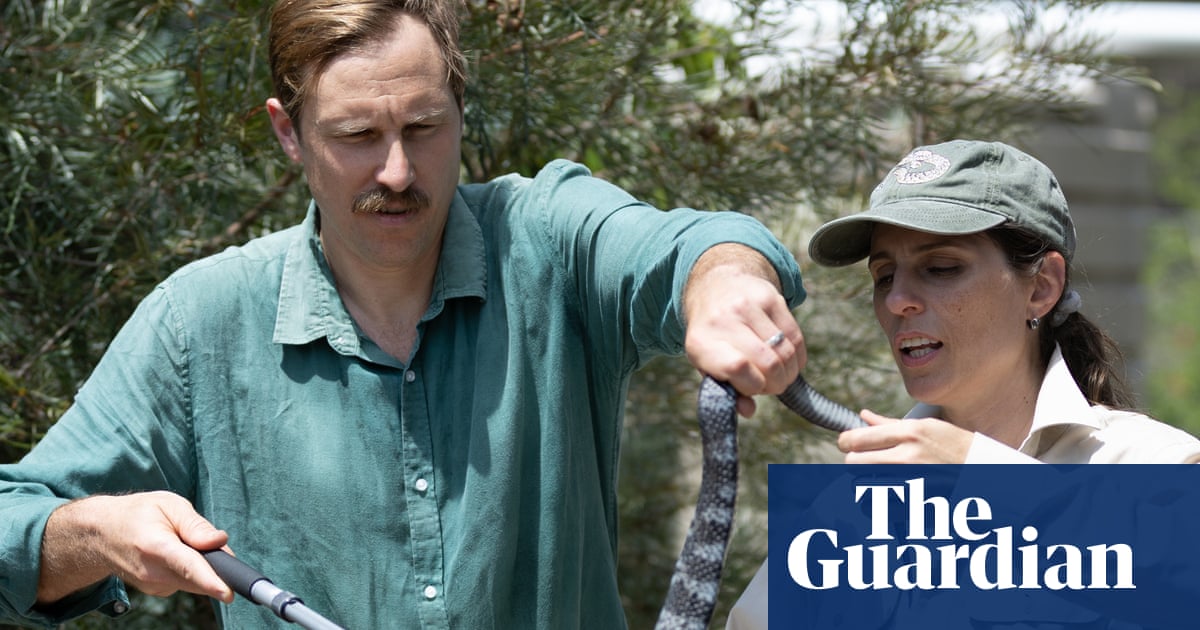 Snakes, sheilas and a backblocks shed: learning how to wrangle Australia’s most venomous reptiles | Queensland
