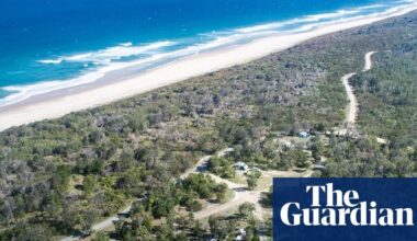 Beaches reopen after bull shark attack that killed Swiss tourist as police review GoPro footage from scene | Sharks