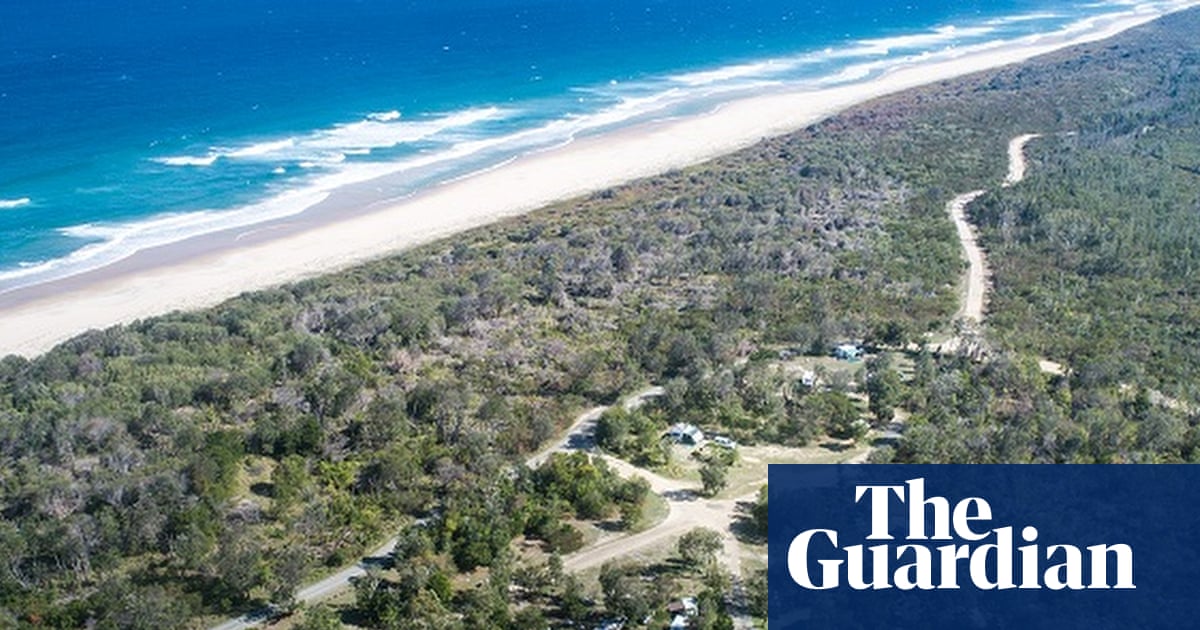Beaches reopen after bull shark attack that killed Swiss tourist as police review GoPro footage from scene | Sharks