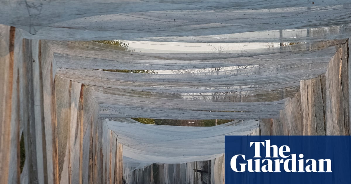 Old fishing nets from France become vital protection against Russian drones in Ukraine | Ukraine