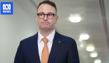 Bragg says ditching net zero 'too silly for words' as Liberals play semantics