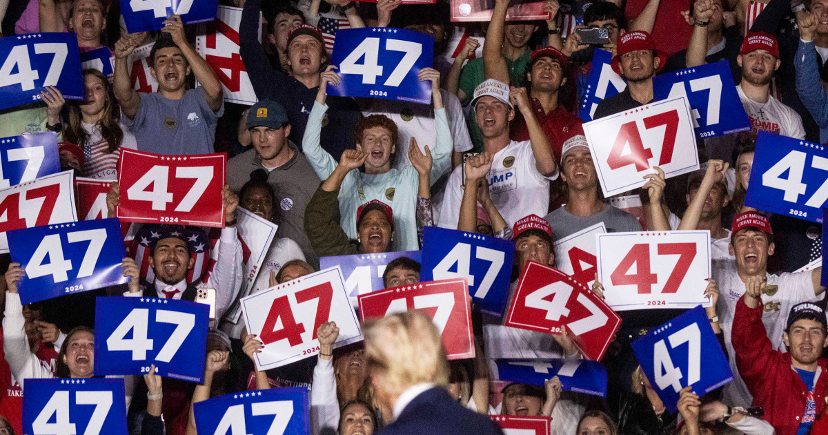 Democrats dip into the 'manosphere' in search of the key to the young male vote