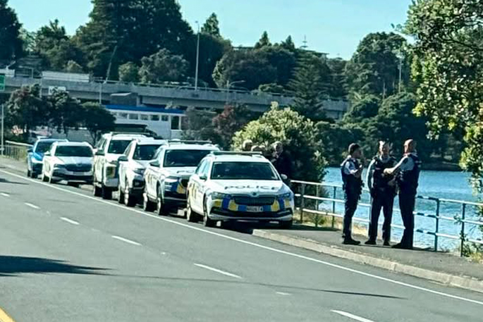 SunLive - Tauranga Police recovering body from water