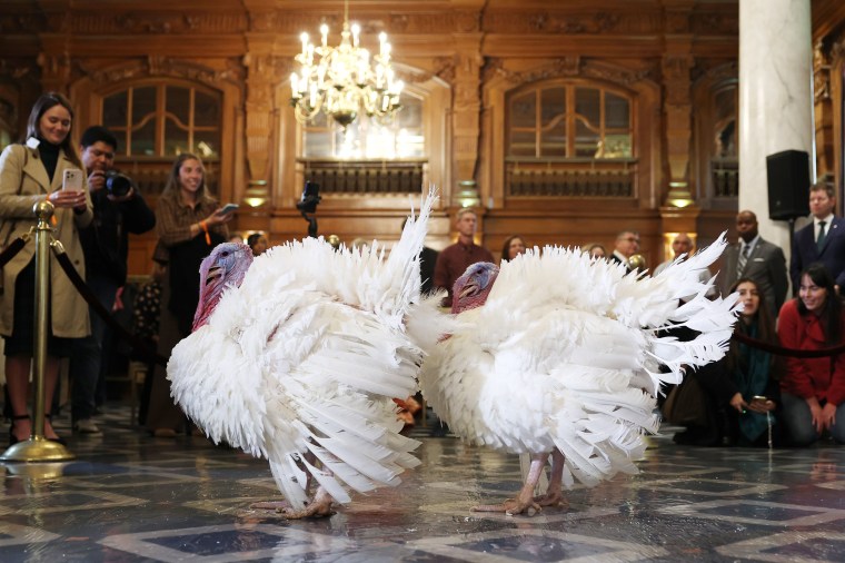 Waddle and Gobble are presented to journalists at the Willard InterContinental on Nov. 24, 2025 in Washington, D.C. 