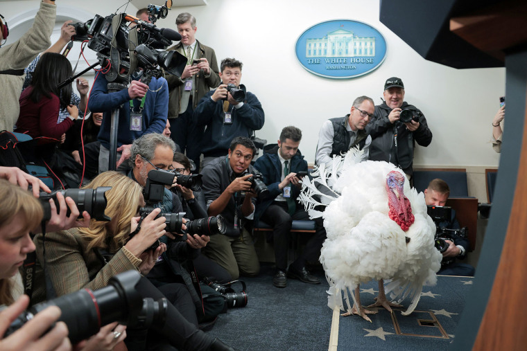 Waddle, the National Thanksgiving Turkey alternate, visits the White House press briefing room on Nov. 25, 2025.