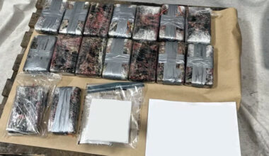 SunLive - Cocaine worth $11.5m seized at Port of Tauranga