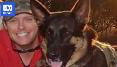 Man charged over allegedly abandoning Arnie the German shepherd in car after claiming dog and vehicle were stolen