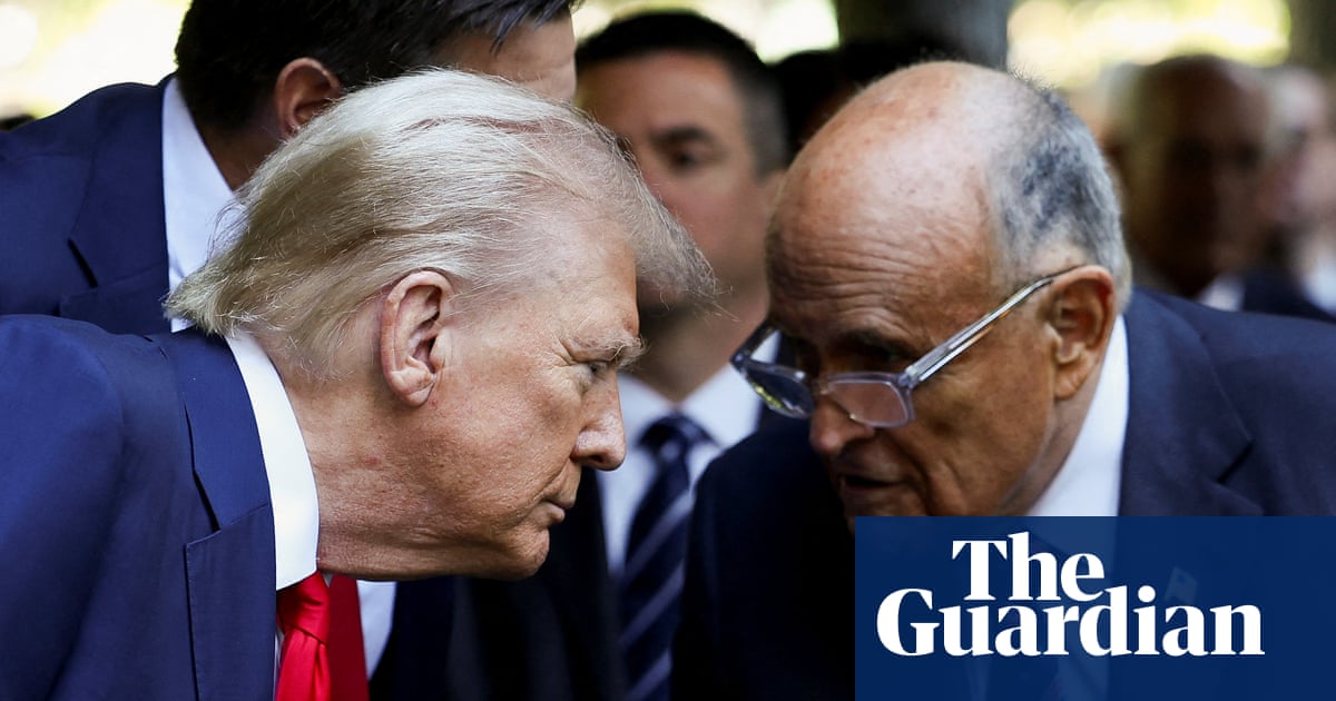 Trump may have inadvertently issued mass pardon for 2020 voter fraud, experts say | Donald Trump