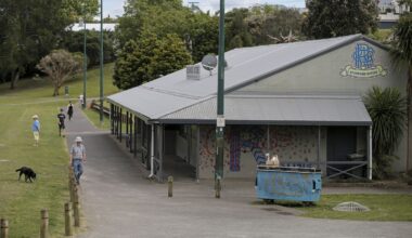 Alleged attacks by teens in Grey Lynn Park alarm Auckland park-goers
