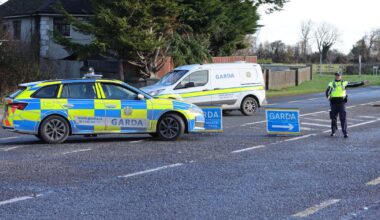 Two men who were killed in Gormanston three-vehicle crash are named – The Irish Times