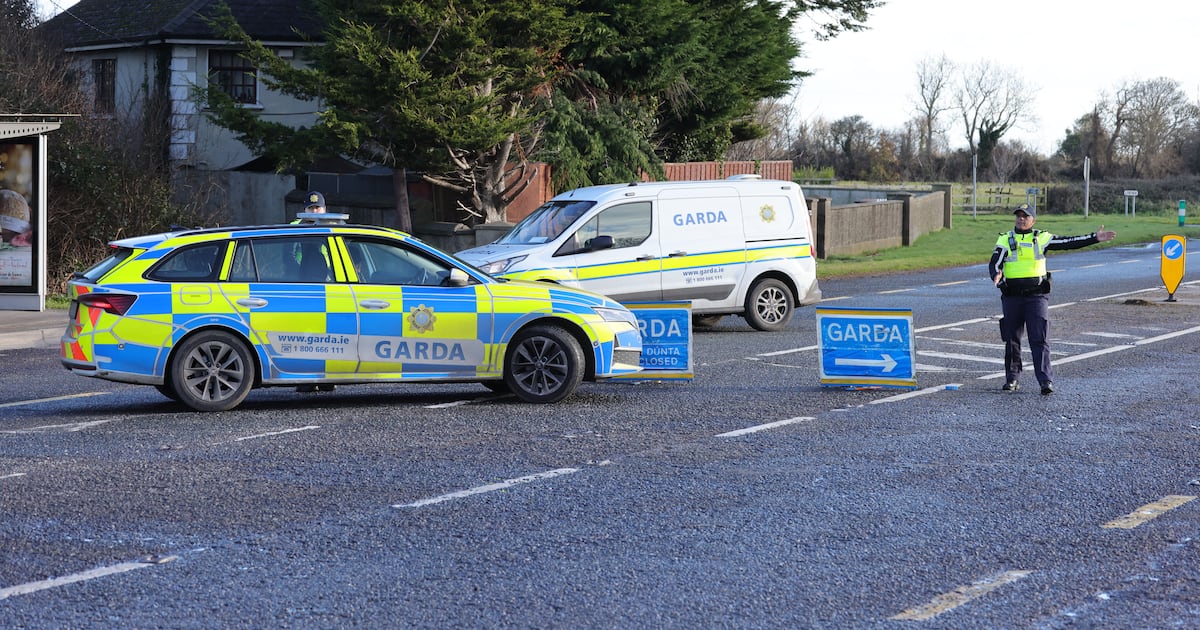 Two men who were killed in Gormanston three-vehicle crash are named – The Irish Times