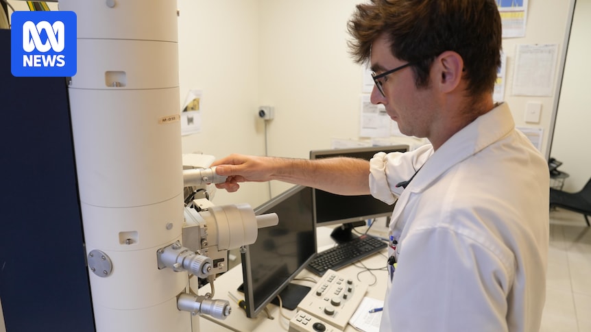 Asbestos contamination of children's sand was a fluke discovery in an Australian lab