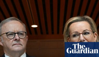 Coalition to help Labor rush through new nature laws if environmental protections dropped | Australian politics