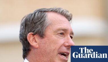 Australian cricket great Glenn McGrath dropped by the ABC over betting agency links | Australia news