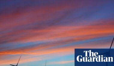 Facebook community groups and maggot-infested rats: the inner workings of Australia’s climate misinformation war | Environment