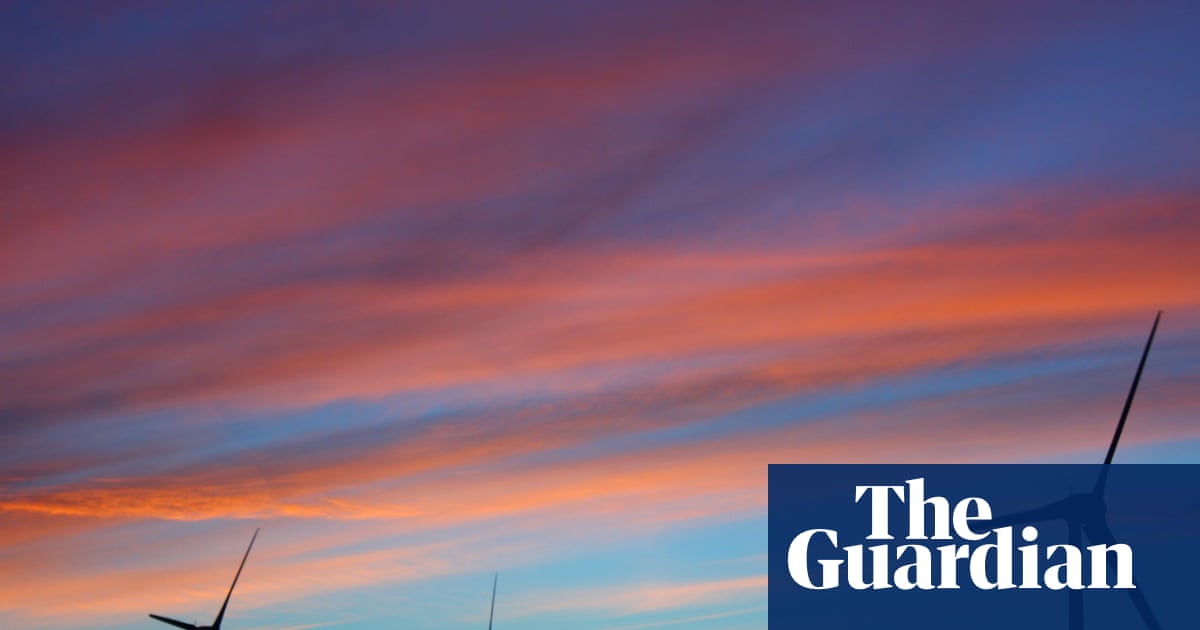 Facebook community groups and maggot-infested rats: the inner workings of Australia’s climate misinformation war | Environment