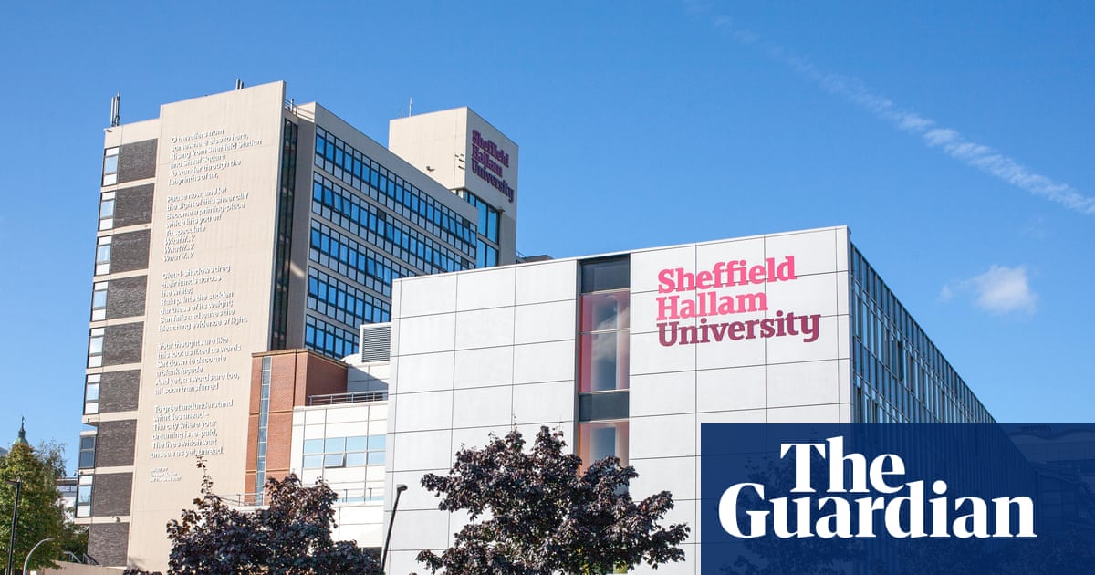 China-critical UK academics describe ‘extremely heavy’ pressure from Beijing | Universities