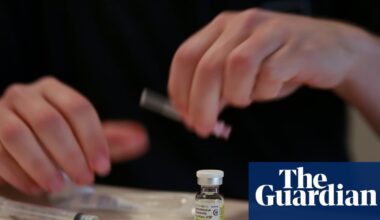 New Zealand bans puberty blockers for young transgender people | New Zealand