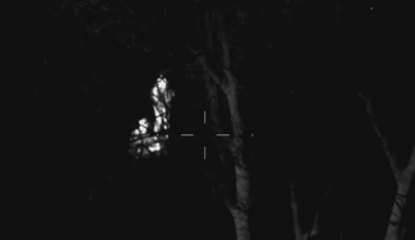 Video shows Toronto police rescue couple and their baby who got lost at Rouge National Urban Park - CTV News